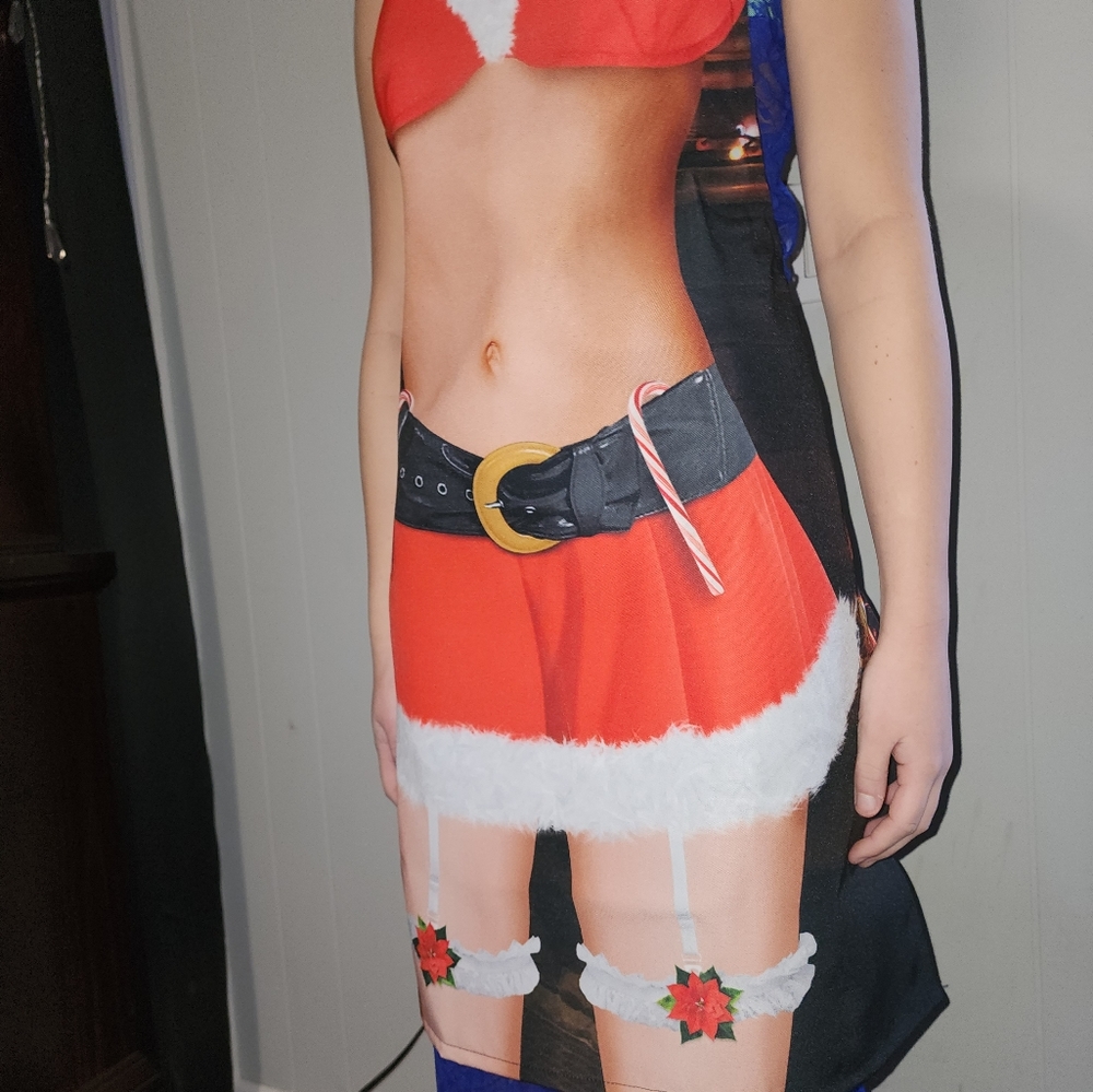 NWT Dolls Kill Sexy Hot Bod Santa Apron - Picture 5 of 5